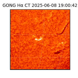 gong - 2025-06-08T19:00:42