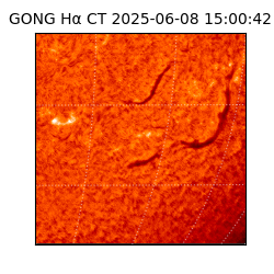 gong - 2025-06-08T15:00:42