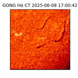 gong - 2025-06-08T17:00:42