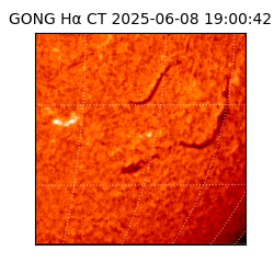 gong - 2025-06-08T19:00:42