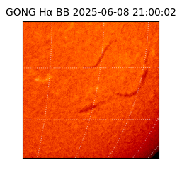 gong - 2025-06-08T21:00:02