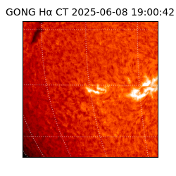 gong - 2025-06-08T19:00:42