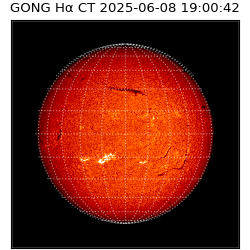 gong - 2025-06-08T19:00:42