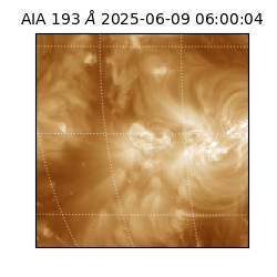saia - 2025-06-09T06:00:04.847000