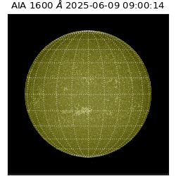 saia - 2025-06-09T09:00:14.126000