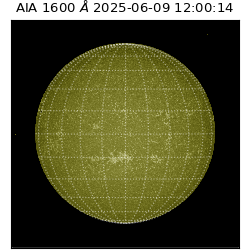 saia - 2025-06-09T12:00:14.126000