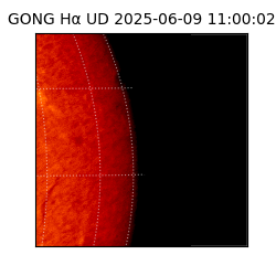 gong - 2025-06-09T11:00:02