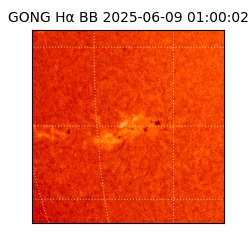 gong - 2025-06-09T01:00:02