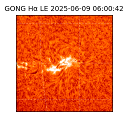 gong - 2025-06-09T06:00:42