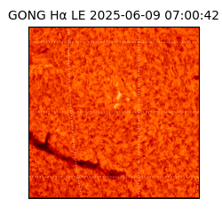 gong - 2025-06-09T07:00:42
