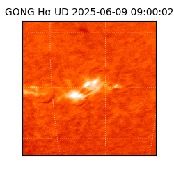 gong - 2025-06-09T09:00:02