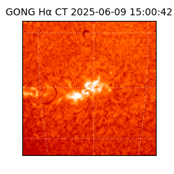 gong - 2025-06-09T15:00:42