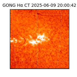 gong - 2025-06-09T20:00:42