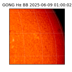 gong - 2025-06-09T01:00:02