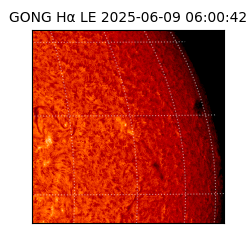 gong - 2025-06-09T06:00:42