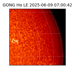 gong - 2025-06-09T07:00:42