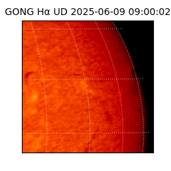 gong - 2025-06-09T09:00:02