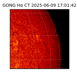 gong - 2025-06-09T17:01:42