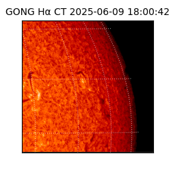 gong - 2025-06-09T18:00:42