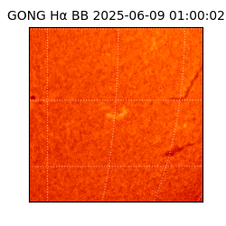 gong - 2025-06-09T01:00:02