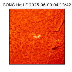 gong - 2025-06-09T04:13:42
