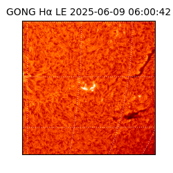 gong - 2025-06-09T06:00:42