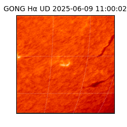 gong - 2025-06-09T11:00:02