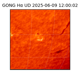 gong - 2025-06-09T12:00:02