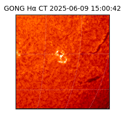 gong - 2025-06-09T15:00:42