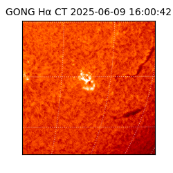 gong - 2025-06-09T16:00:42
