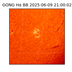 gong - 2025-06-09T21:00:02
