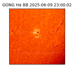 gong - 2025-06-09T23:00:02