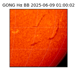 gong - 2025-06-09T01:00:02