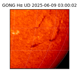 gong - 2025-06-09T03:00:02