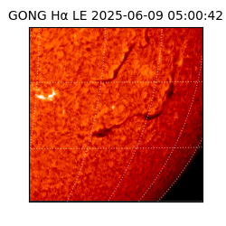 gong - 2025-06-09T05:00:42