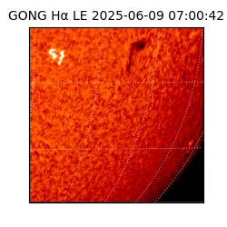 gong - 2025-06-09T07:00:42