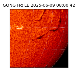 gong - 2025-06-09T08:00:42