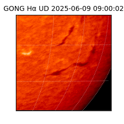 gong - 2025-06-09T09:00:02