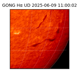 gong - 2025-06-09T11:00:02