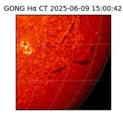 gong - 2025-06-09T15:00:42