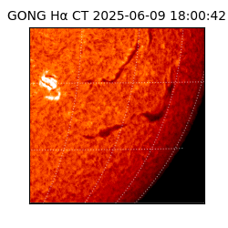 gong - 2025-06-09T18:00:42