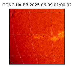 gong - 2025-06-09T01:00:02