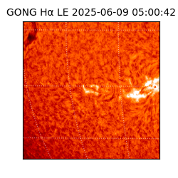 gong - 2025-06-09T05:00:42