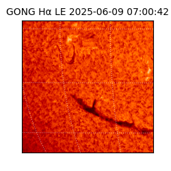 gong - 2025-06-09T07:00:42