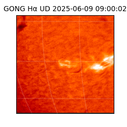 gong - 2025-06-09T09:00:02