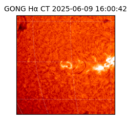 gong - 2025-06-09T16:00:42