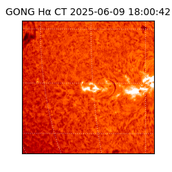 gong - 2025-06-09T18:00:42