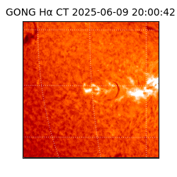 gong - 2025-06-09T20:00:42