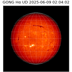gong - 2025-06-09T02:04:02