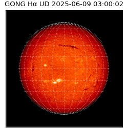 gong - 2025-06-09T03:00:02